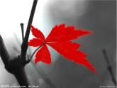 人教版音樂八年級(jí)上冊(cè)5.2欣賞 紅河谷 課件（13ppt）
