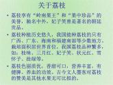 花城版八年级音乐上册 第一单元 广州民歌《落雨大》-资源包【教学设计 课件 素材】 （10份打包）