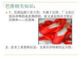 花城版九年级音乐上册 第3单元 歌曲《春天的芭蕾》-资源包【教学设计 课件 素材】 （10份打包）