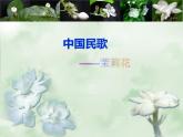 花城版九年级音乐上册第二单元 江苏 《茉莉花》课件（9张）