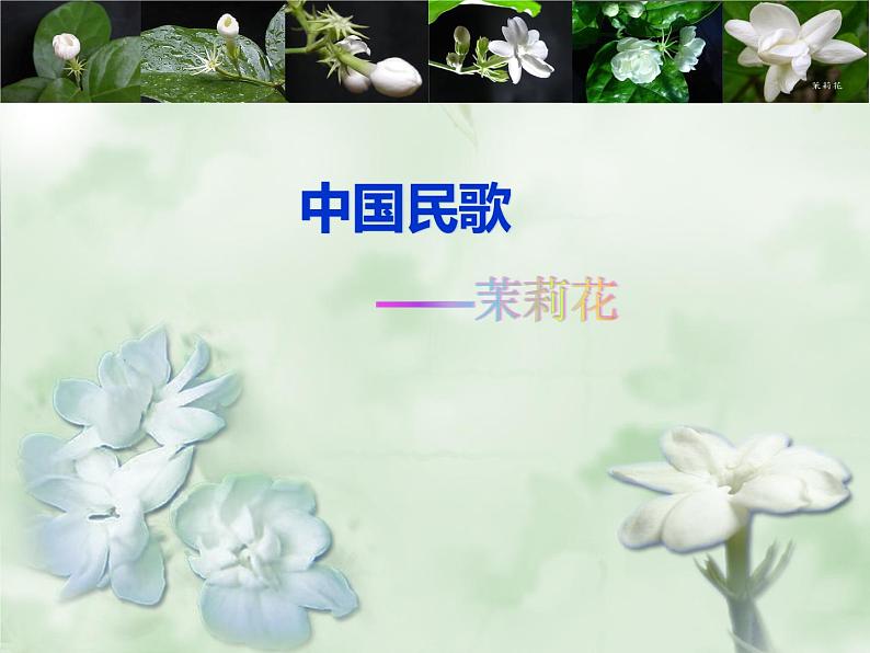 花城版九年级音乐上册第二单元 江苏 《茉莉花》课件（9张）01