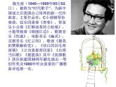 男生独唱曲《祝酒歌》PPT课件免费下载