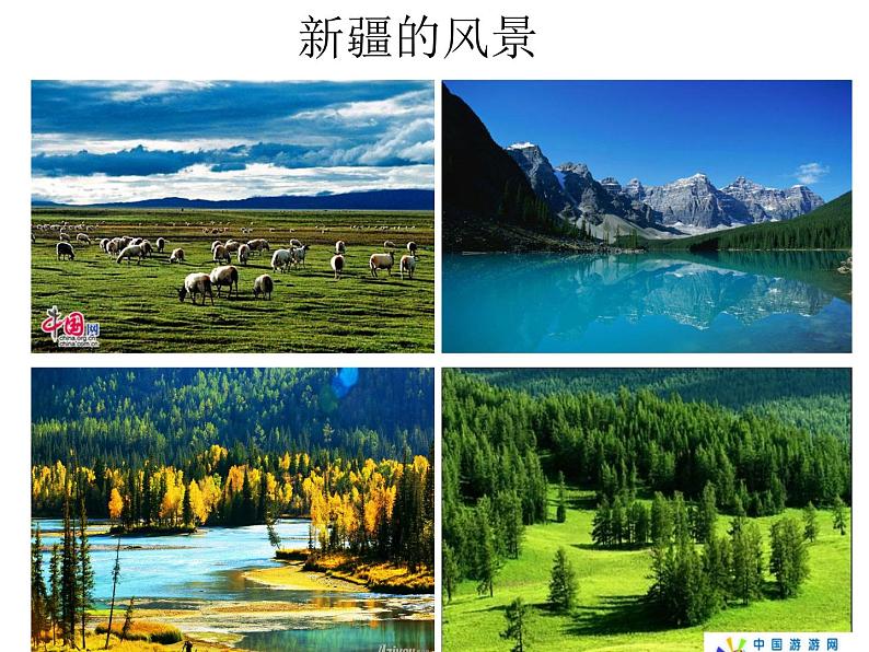 花城版音乐九年级下册 第三单元 《青春舞曲》课件（19张）第3页