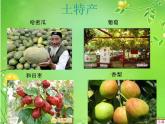 花城版音乐九年级下册 第三单元 《青春舞曲》课件（19张）