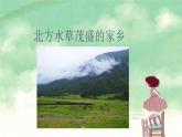 北方水草茂盛的家乡PPT课件免费下载