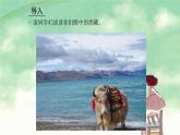 北方水草茂盛的家乡PPT课件免费下载