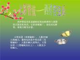 湘艺版音乐七年级下册第二单元西洋管弦乐器 课件 (1)
