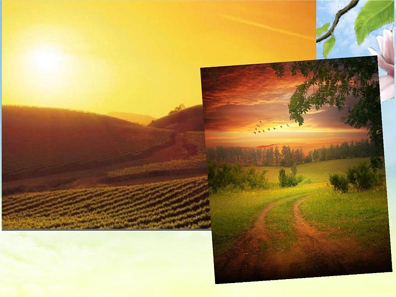 乡间的小路 课件第2页