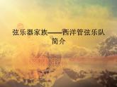 湘艺版音乐七年级下册第二单元西洋管弦乐器 课件 (3)