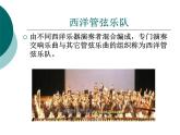 湘艺版音乐七年级下册第二单元青少年管弦乐队指南（片段） 课件