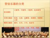 湘艺版音乐七年级下册第二单元青少年管弦乐队指南（片段） 课件 音频