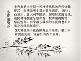 湘艺八年级上册第16课 欣赏 G大调弦乐小夜曲（课件 教学设计 媒体素材）