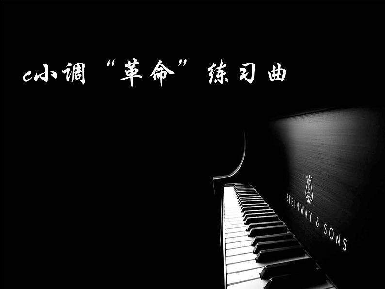 湘艺版音乐八年级上册第四单元c小调（“革命”）练习曲 课件 教案 音频 (2)01