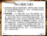 湘艺版音乐八年级上册第四单元c小调（“革命”）练习曲 课件 教案 音频 (2)