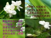 石鼓PPT课件免费下载