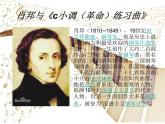 湘艺版音乐八年级上册第四单元c小调（革命）练习曲 课件（15ppt）