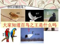 湘艺版八年级上册第二单元 八音和鸣（三）百鸟朝凤 江河水教学ppt课件