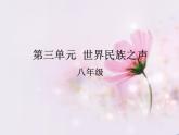 湘艺版音乐八年级下册第三单元 世界民族之声（一） 课件