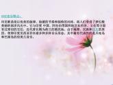 湘艺版音乐八年级下册第三单元 世界民族之声（一） 课件