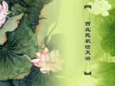 乡村路，带我回家PPT课件免费下载