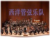 西洋管弦乐队简介PPT课件免费下载
