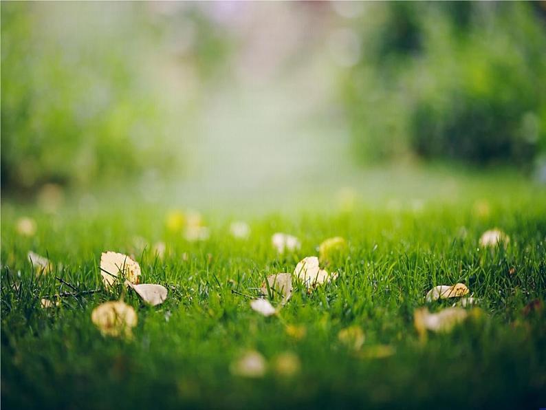 初中人音版八年级下册音乐第三单元欣赏花儿与少年(21张)(1)ppt课件第6页