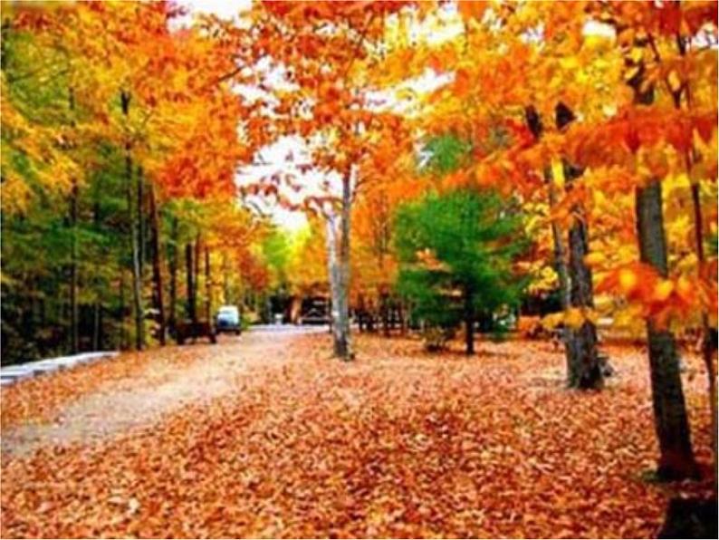 初中人音版七年级下册音乐演奏红河谷(17张)ppt课件04