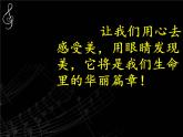 c小调（“革命”）练习曲PPT课件免费下载