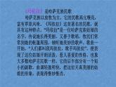 初中人教版音乐八年级下册第四单元玛依拉(18张ppt)ppt课件