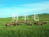 初中人教版音樂七年級下冊第五單元剪羊毛(13張)ppt課件