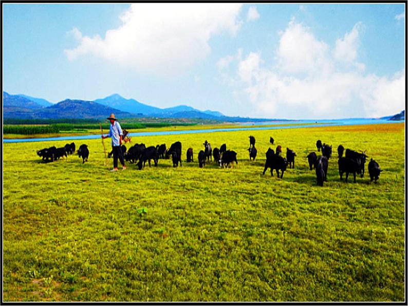 初中七年级下册音乐课件5.演唱沂蒙山小调(13张)ppt课件第5页