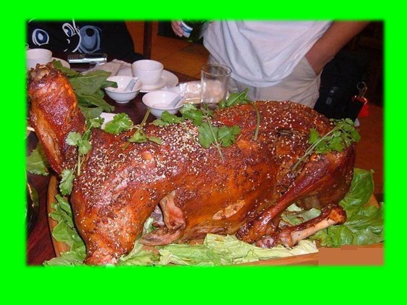 人音版七年级下册第三单元 天山之音 ☆青春舞曲 课件+教案08