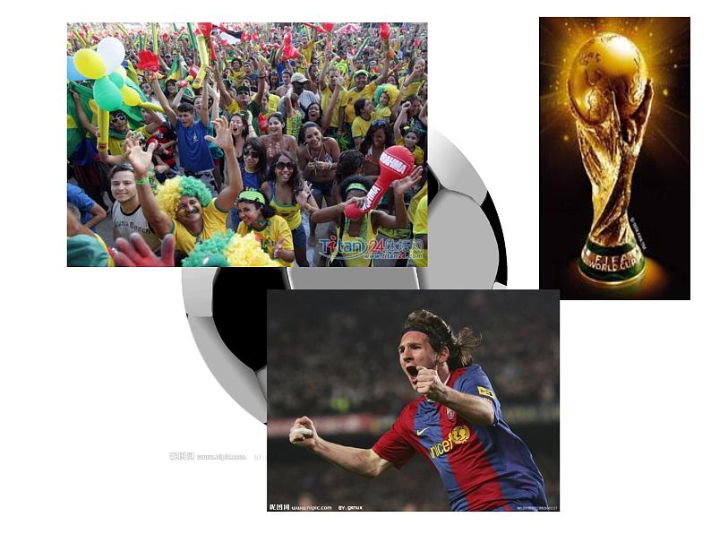 生命之杯 课件 (1)第1页