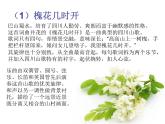 初中音樂-《巴蜀山歌》課件1PPT課件