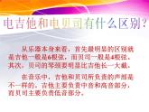 初中音乐-《动物世界》片头曲课件(1)PPT课件