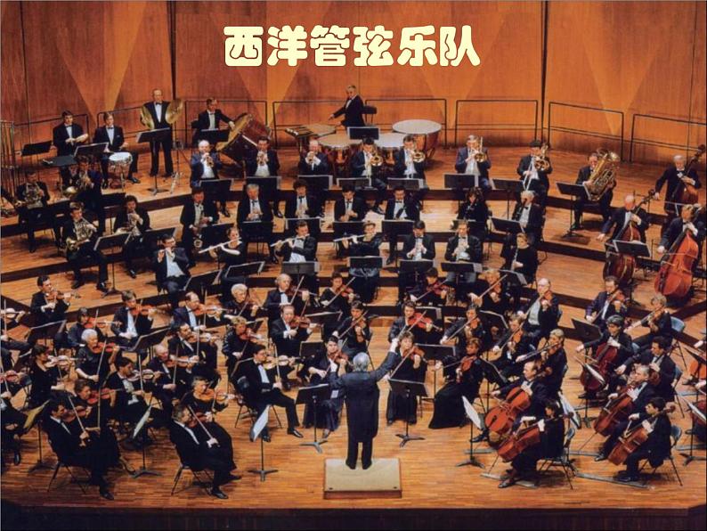 初中音乐-《青少年管弦乐队指南》课件02PPT课件04