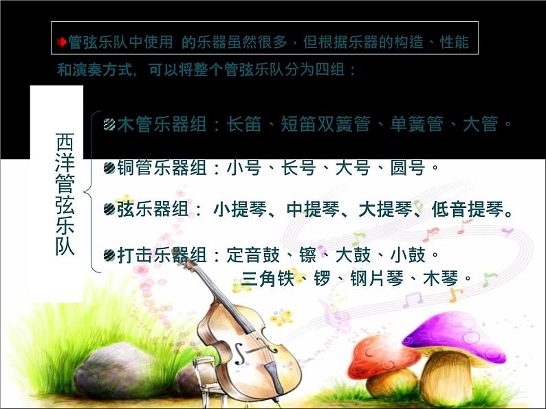 初中音乐-《青少年管弦乐队指南》课件02-(2)PPT课件06