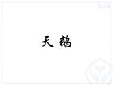 初中音樂-《天鵝》課件01PPT課件