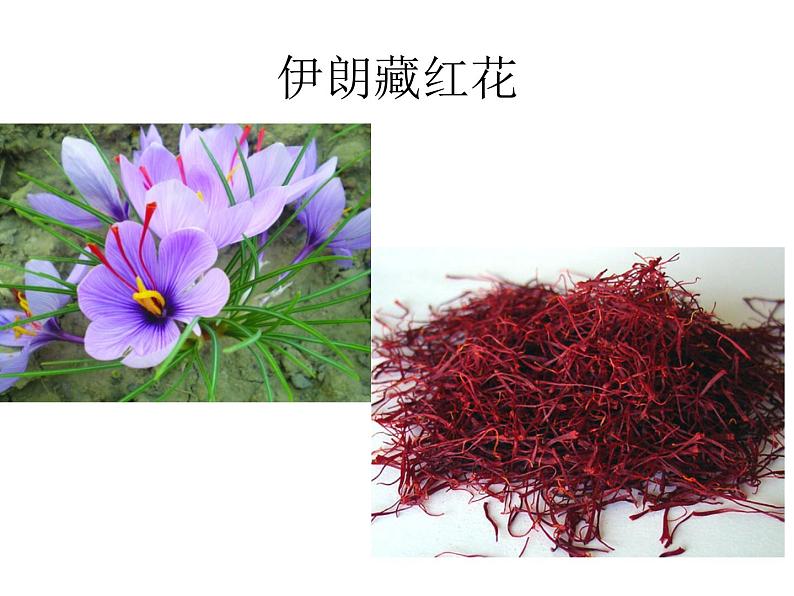 初中音乐-《像花儿一样》课件2PPT课件第4页