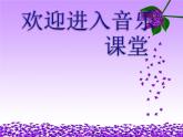 初中音樂-《陽光照耀著塔什庫爾干》課件3PPT課件
