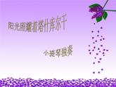 初中音乐-《阳光照耀着塔什库尔干》课件3PPT课件