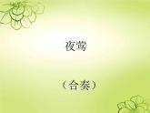 初中音乐-《夜莺》(合奏)课件PPT课件