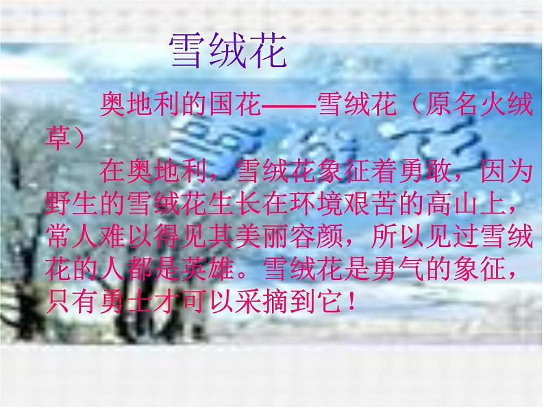 初中音乐-《雪绒花》(片段)-教学课件-(2)PPT课件07