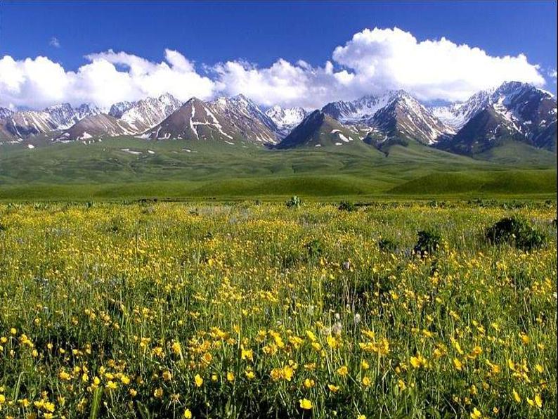 新疆之春PPT课件免费下载05