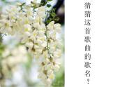 初中音樂-巴蜀山歌-課件-(2)PPT課件
