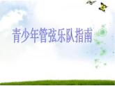 初中音乐--青少年管弦乐队指南(片段)--(2)pptppt课件