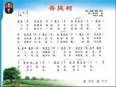 初中音乐--菩提树pptppt课件