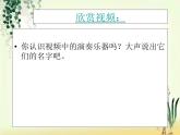 初中音乐--青少年管弦乐队指南(片段)--(4)pptppt课件