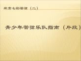 初中音乐--青少年管弦乐队指南(片段)-pptppt课件
