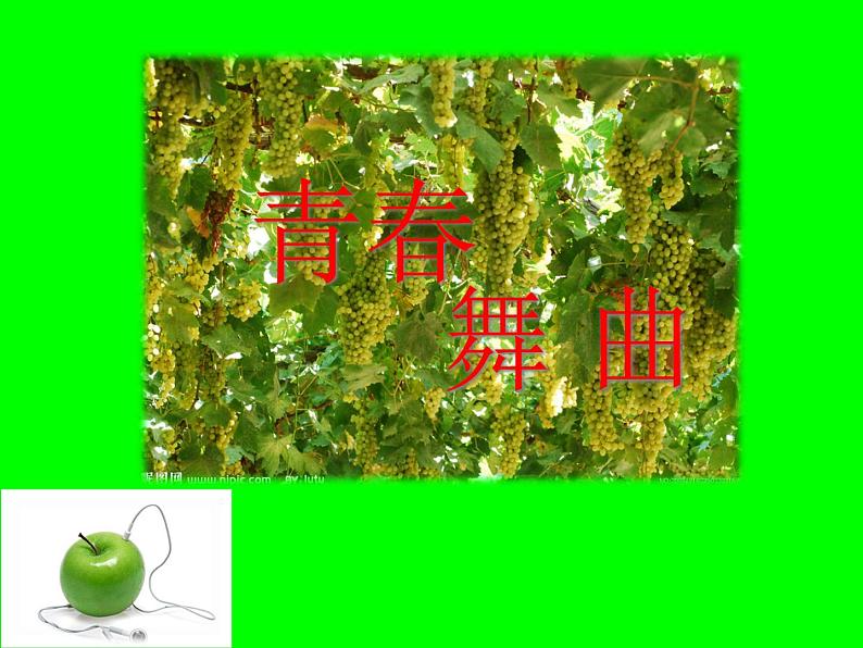 初中音乐-青春舞曲-课件-(1)PPT课件第2页